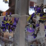 Transformers BotCon 2012 Hasbro Fall of Cybertron Insecticon
